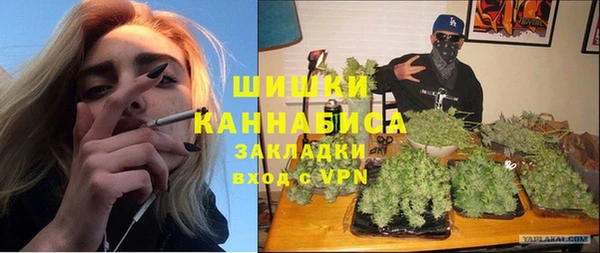 стаф Балахна